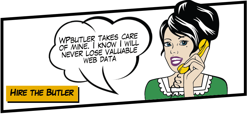 WP Butler takes care of your website. You will never lose valuable web data again!