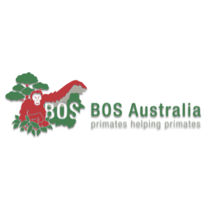 Logo - Client - BOS Orangutans