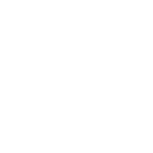 Logo - Client - Bina Maya