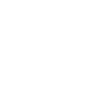 Logo - Client - Fraser Island Tours